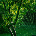 Mastering Tree Care With Innovative Home Watering Systems In Northern Virginia