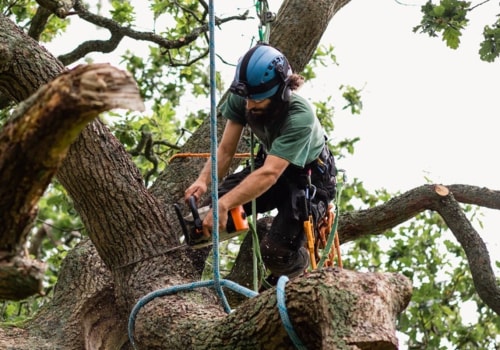 What do you call a person who takes care of trees?