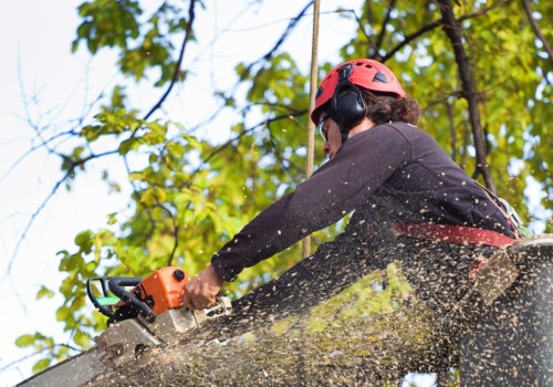 Do trees require maintenance?