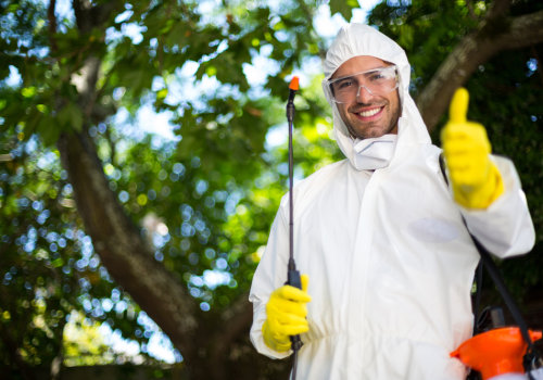 Why You Shouldn't Overlook Tree Care In Your Pest Control Maintenance Plan In Forney, TX
