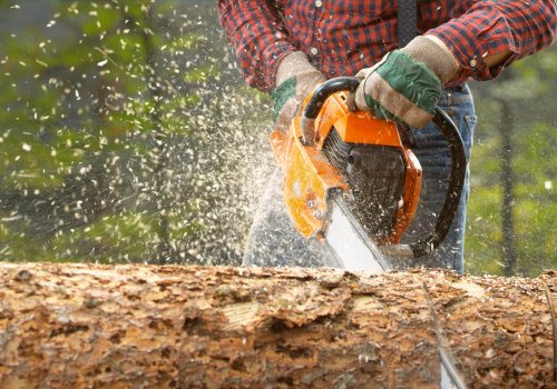 Why Hiring A Professional Tree Removal And Tree Care Company In Groveland Is A Smart Decision