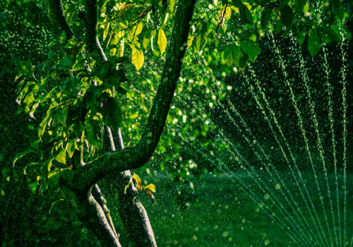 Mastering Tree Care With Innovative Home Watering Systems In Northern Virginia